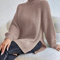 Herren Rollkragenpullover Regular Fit Winter